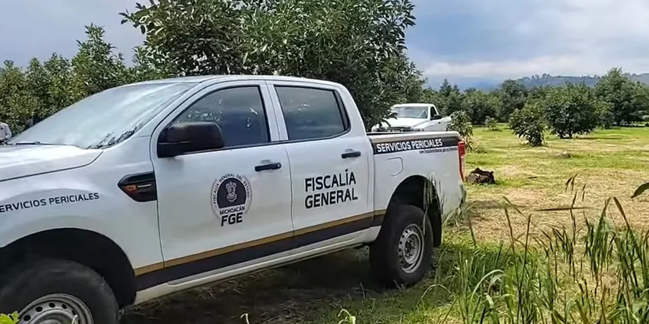 Ama de casa, empleados y albañil, entre los 12 cadáveres en narcofosa de Uruapan | El Imparcial de Oaxaca