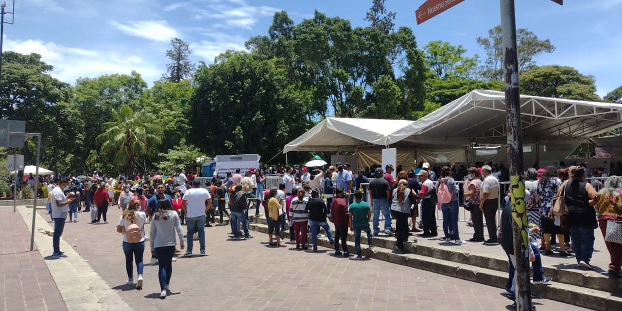 Queda en familia, validación de Consejeros de Morena | El Imparcial de Oaxaca
