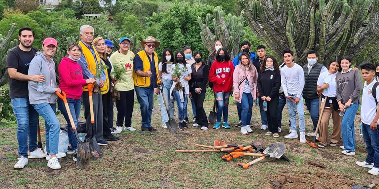 Realizan reforestación social en Huajuapan | El Imparcial de Oaxaca