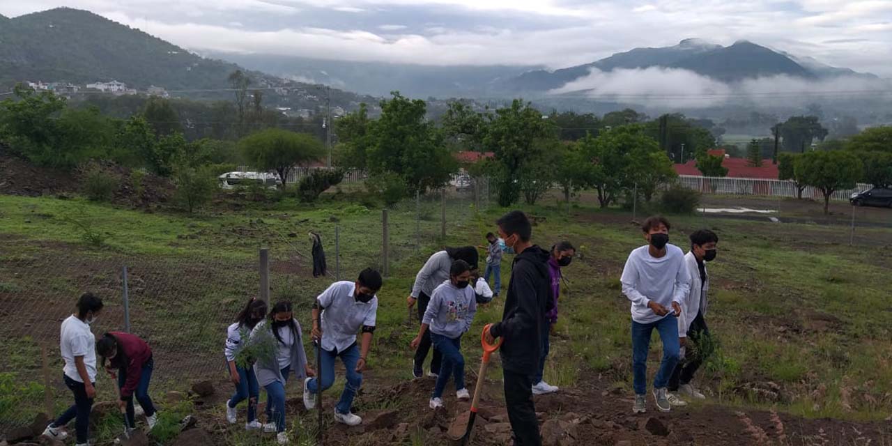 Estudiantes de Camotlán realizan acciones de reforestación | El Imparcial de Oaxaca