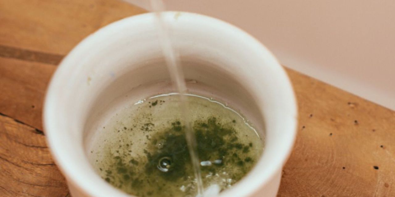 Extracto de té verde reduciría el azúcar en la sangre y la inflamación intestinal, revela estudio | El Imparcial de Oaxaca