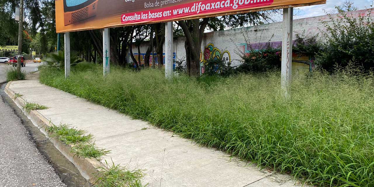 Se quejan vecinos de abandono de la calzada México 68 | El Imparcial de Oaxaca