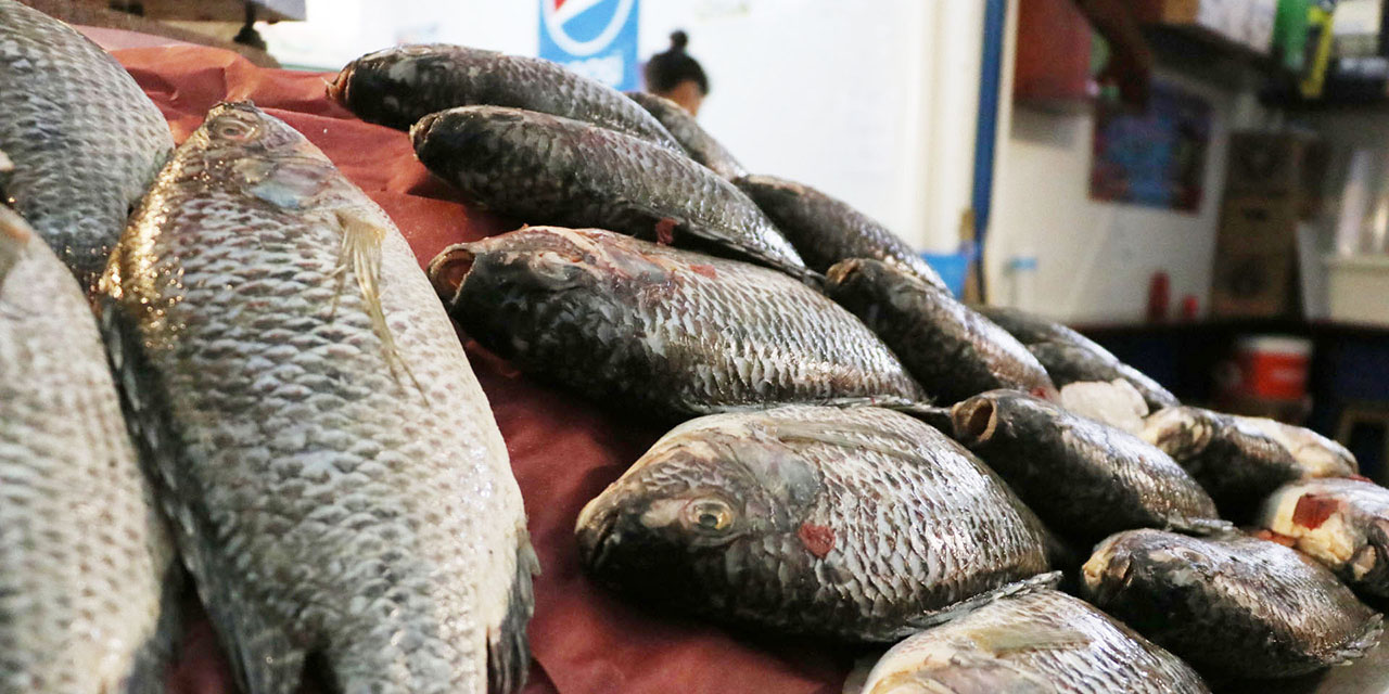 La mitad de pescado que se consume, de especie diferente a la que se pide | El Imparcial de Oaxaca
