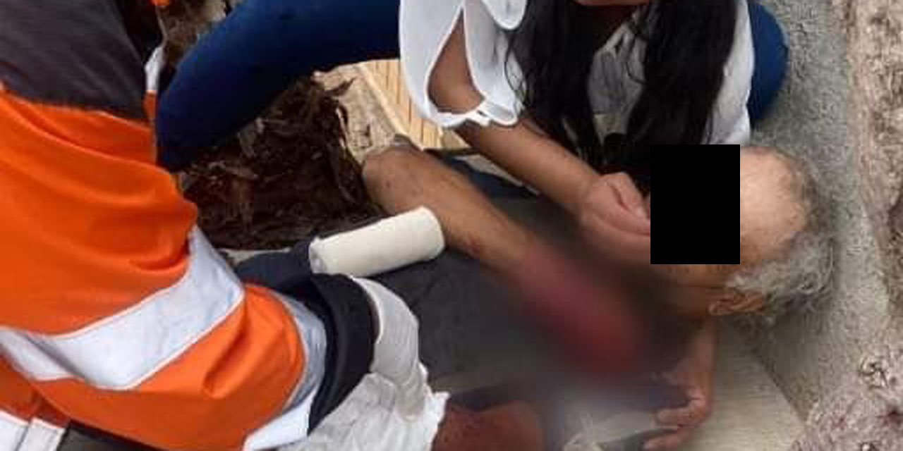 Sacrifican a lomitos que atacaron a hombre de la tercera | El Imparcial de Oaxaca