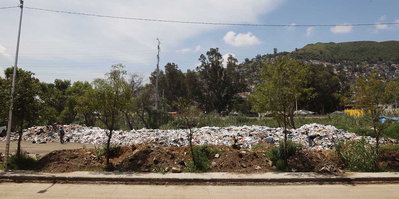 Propaeo tira la bolita al municipio | El Imparcial de Oaxaca