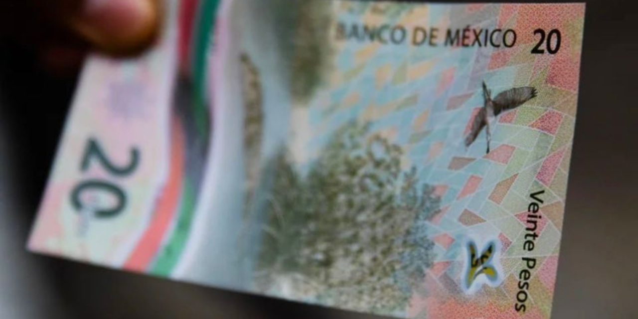 FOTO: Dan hasta 300 mil por este billete de 20 pesos que tiene la imagen del manglar | El Imparcial de Oaxaca