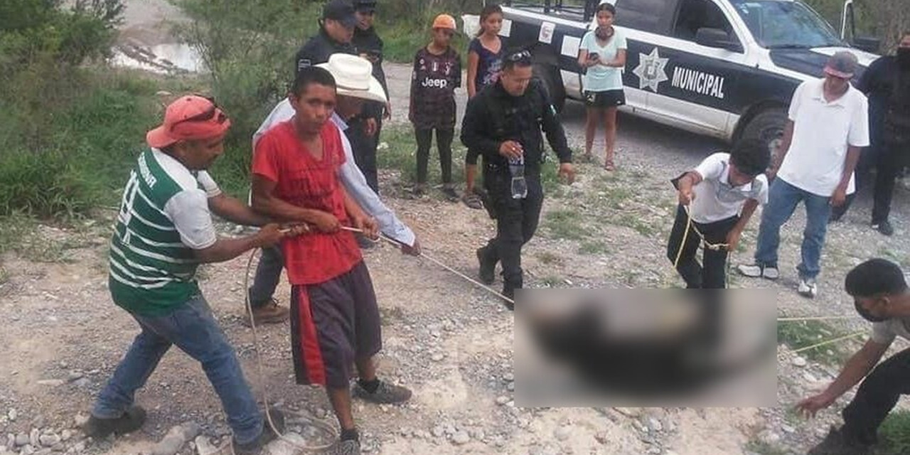 Vinculan a proceso a siete por muerte de osezna en Coahuila | El Imparcial de Oaxaca
