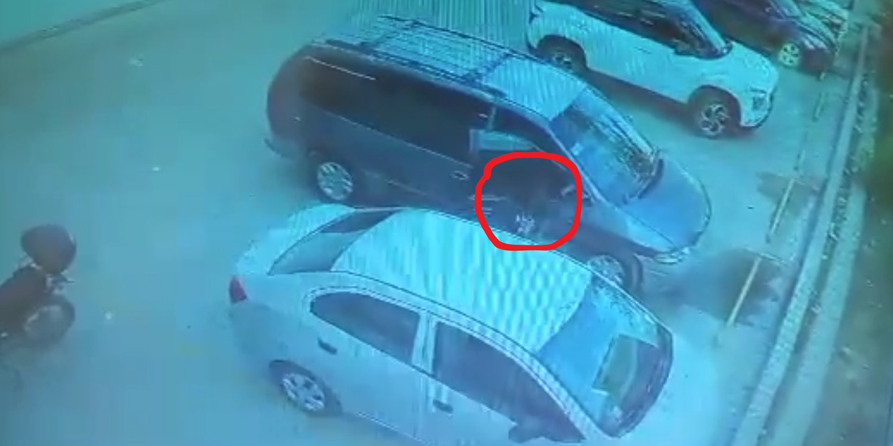 (VIDEO) Exhiben a ‘rata’ abriendo auto en estacionamiento de Xoxo | El Imparcial de Oaxaca