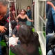 (VIDEO) Brutal riña entre dos mujeres en la línea 9 del Metro CDMX