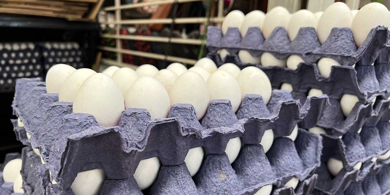 Un lujo comer huevo; alza de 12.64% en lo que va del año | El Imparcial de Oaxaca