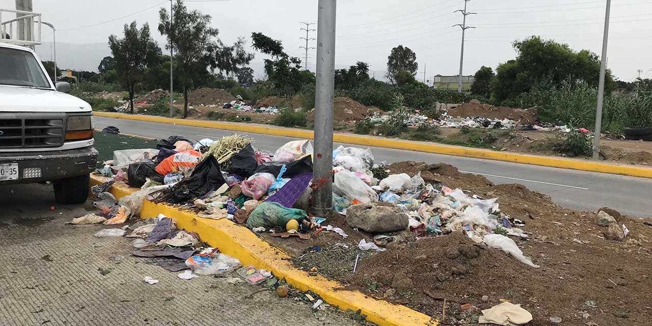 Más del 30% de capitalinos no separa la basura | El Imparcial de Oaxaca