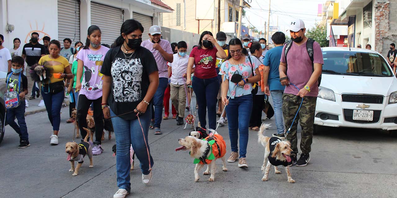 Realizan caminata canina de disfraces | El Imparcial de Oaxaca