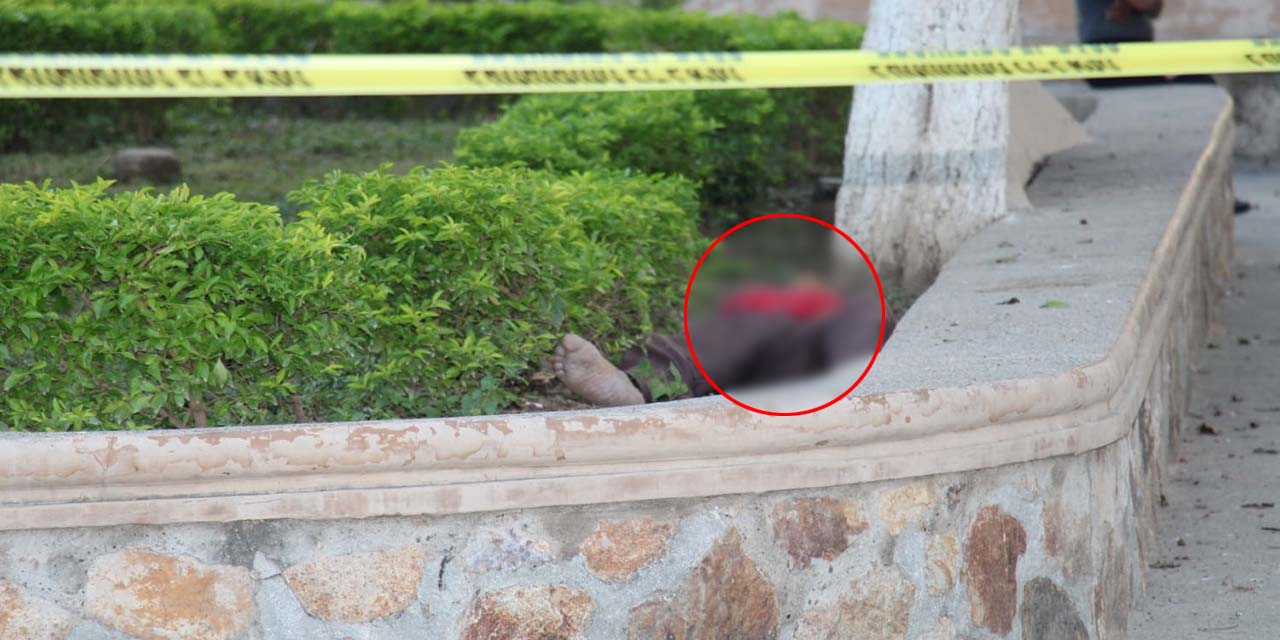 Aparece muerto en un parque de Salina Cruz | El Imparcial de Oaxaca