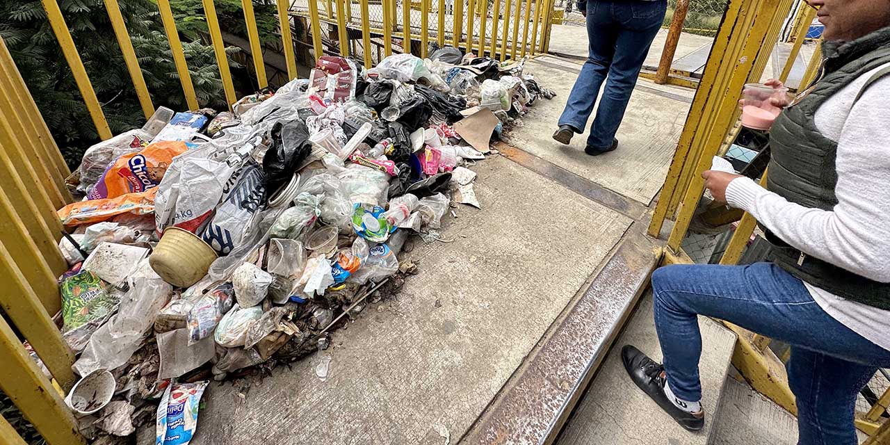 Preocupa más la basura que delincuencia en la ciudad | El Imparcial de Oaxaca