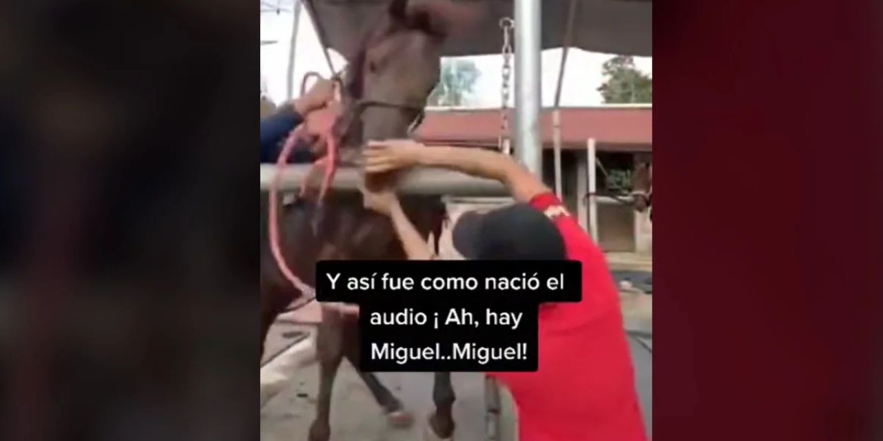 Video:”¡Ay, Miguel!”: Así surgió el audio viral que la rompió en TikTok | El Imparcial de Oaxaca