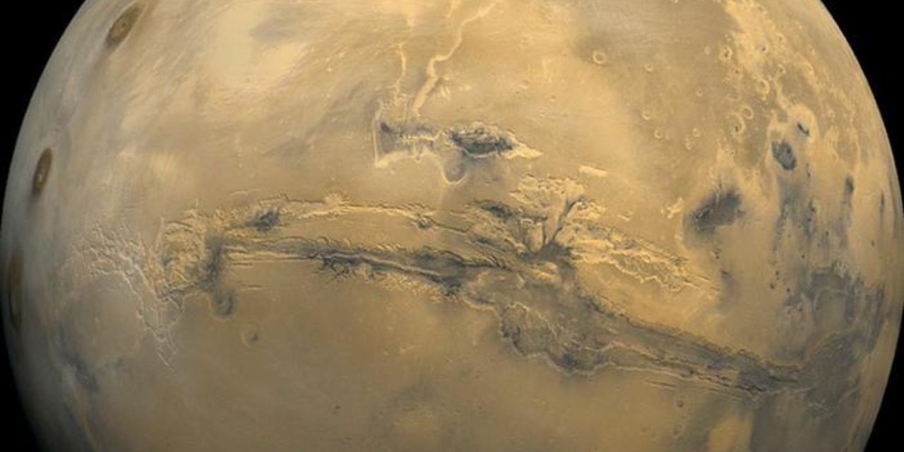 La bacteria “Conan”, superresistente a la radiación, podría sobrevivir millones de años en Marte | El Imparcial de Oaxaca