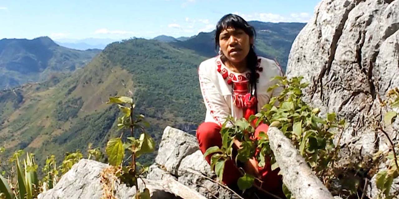 Piden indagar desaparición de defensora ambiental | El Imparcial de Oaxaca
