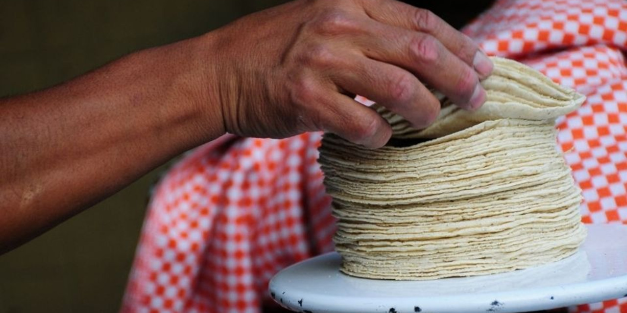 Inseguridad y materia prima aumentan precio de tortilla | El Imparcial de Oaxaca