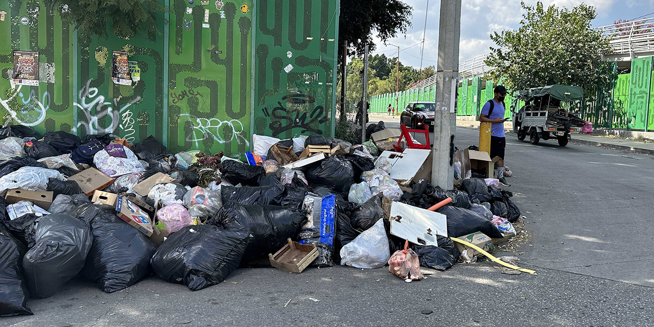 Han llevado más de 800 toneladas de basura a Puebla