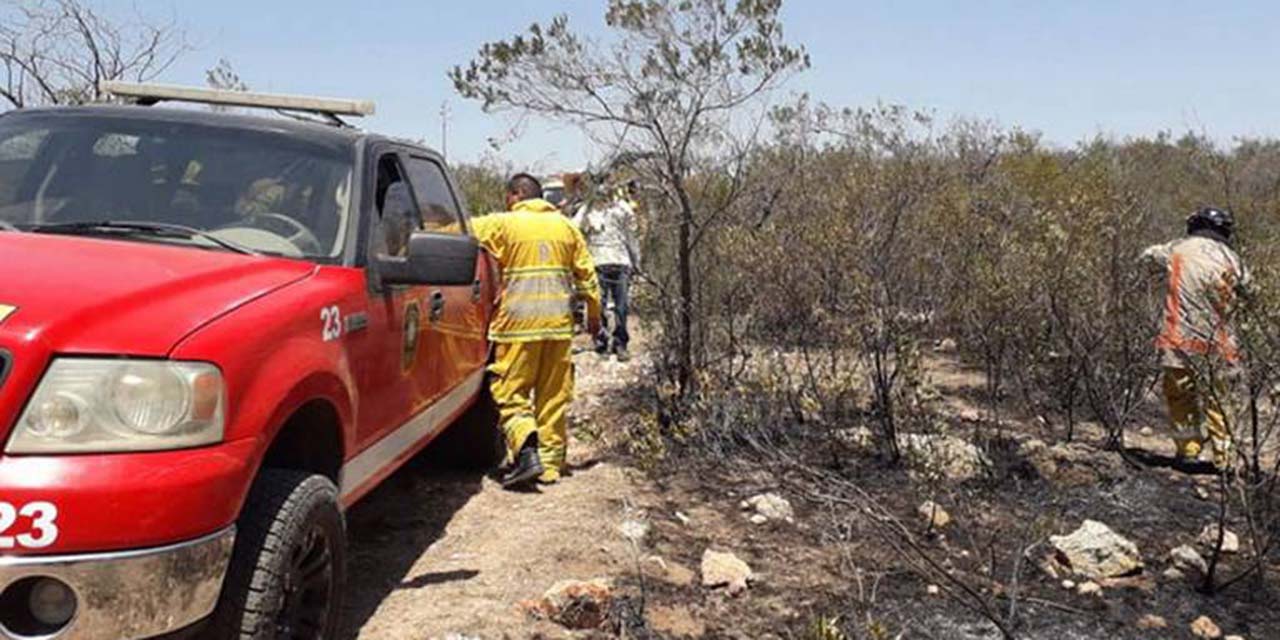 Incendio de pastizales moviliza a cuerpos de rescate | El Imparcial de Oaxaca