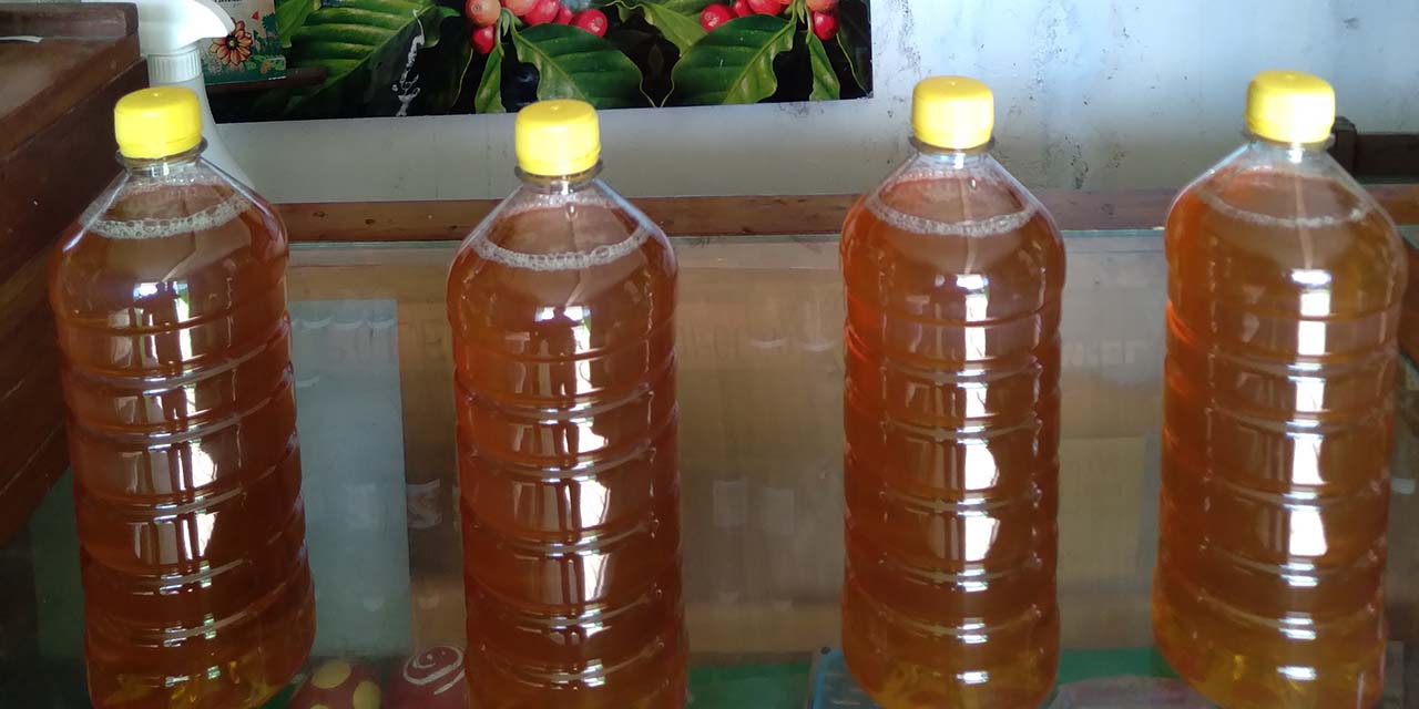 Mazatecos piden valorar miel de buena calidad | El Imparcial de Oaxaca