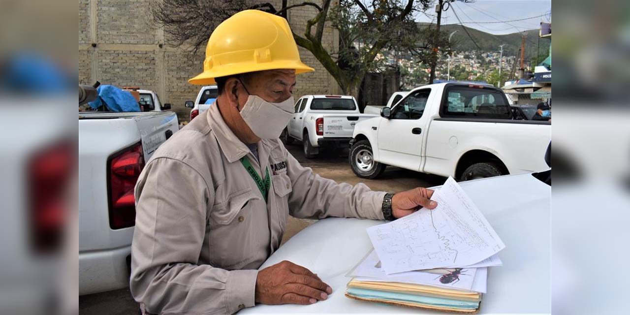 Registran 11 nuevos casos de dengue; 491 en el año | El Imparcial de Oaxaca