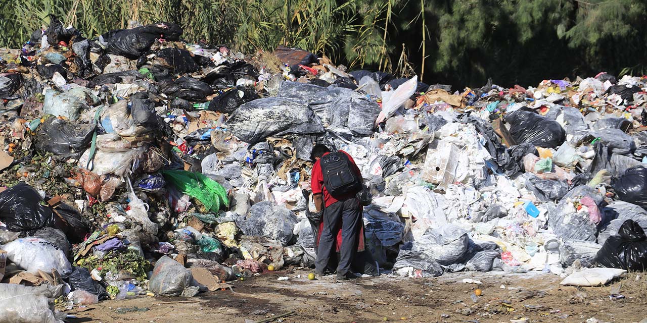 Hace frente mercado 20 de Noviembre a crisis de basura | El Imparcial de Oaxaca