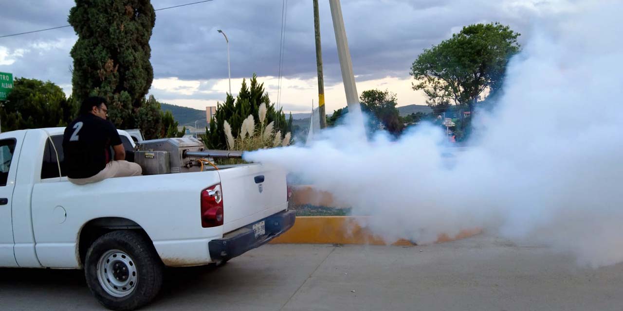 “Lidera” Oaxaca decesos por dengue en el país; van 11 | El Imparcial de Oaxaca