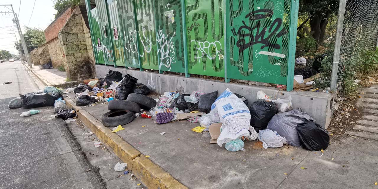 Calles aledañas al panteón general, basurero clandestino | El Imparcial de Oaxaca