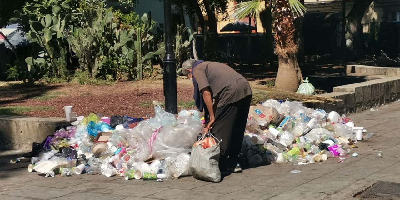 Separa servicio de barrido residuo orgánico para composta | El Imparcial de Oaxaca