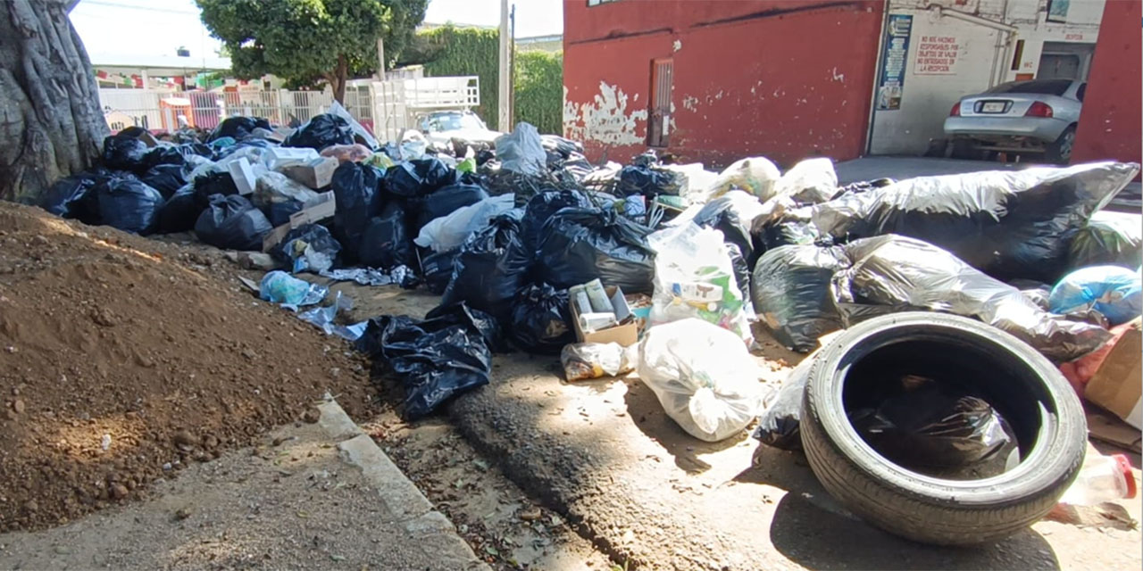 Piden evitar enfermedades por mala disposición de la basura | El Imparcial de Oaxaca
