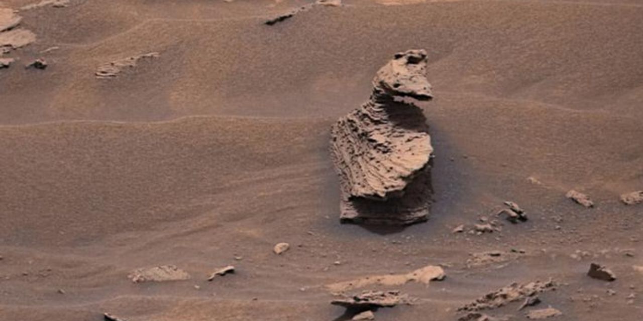 El róver Curiosity de la NASA descubre un “pato” en Marte | El Imparcial de Oaxaca
