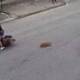 Video: Un motociclista cae con dos mujeres y una niña al atropellar a un perrito; en venganza lo patea