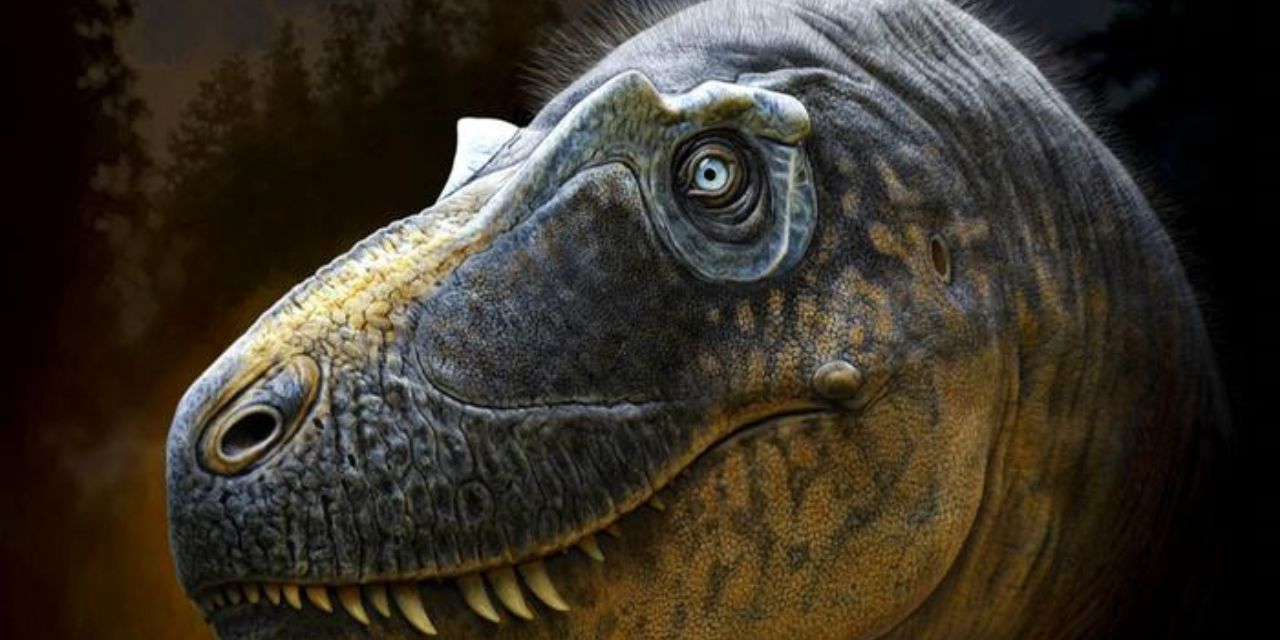 Nueva especie de tiranosaurio podría ser el “eslabón perdido” en la evolución del T. rex | El Imparcial de Oaxaca