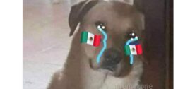 Memes de la selección de México