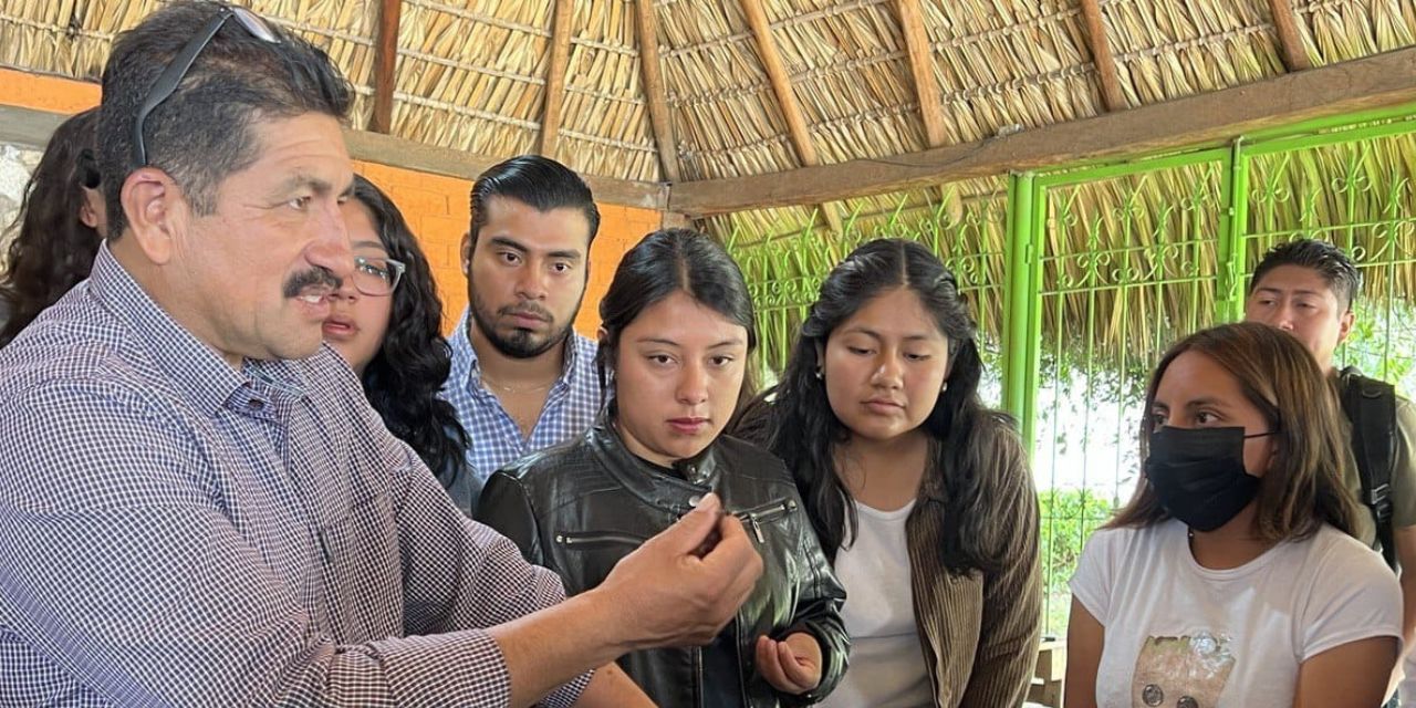Lombricomposta, alternativas a desechos generados por fiestas de muertos | El Imparcial de Oaxaca