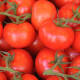 Empresario mexicano se convirtió en narco al fracasar su negocio de tomates
