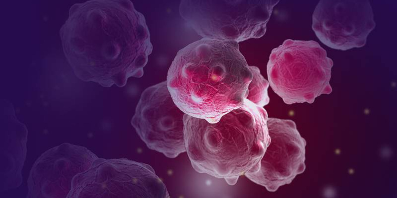 Bacterias magnéticas, la nueva apuesta de la ciencia para actuar contra tumores cancerosos | El Imparcial de Oaxaca