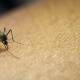 Reportan 10 casos más de paludismo; suman 26