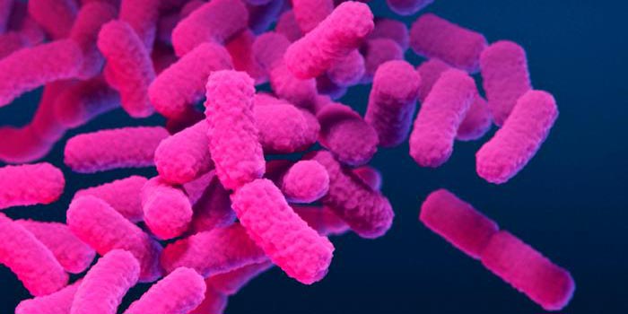 OMS avisa de creciente resistencia de bacterias infecciosas