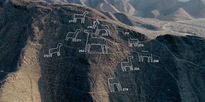 Científicos japoneses descubren 168 nuevas figuras en Nazca