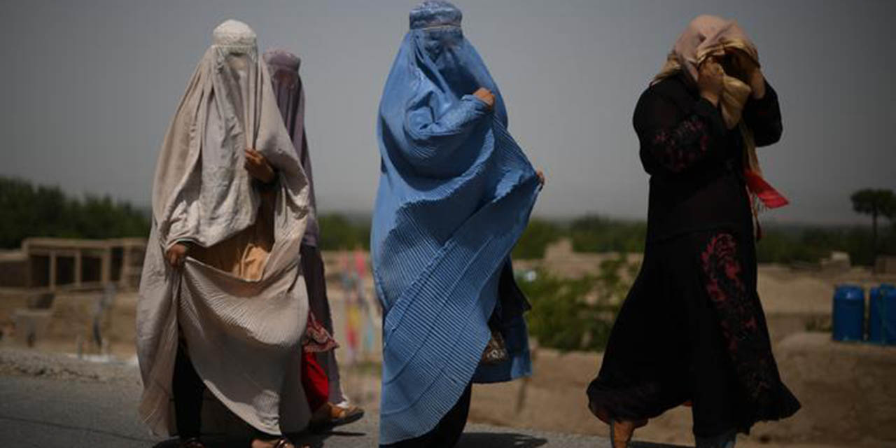 Los talibanes prohíben a las mujeres trabajar en ONG “hasta nuevo aviso”