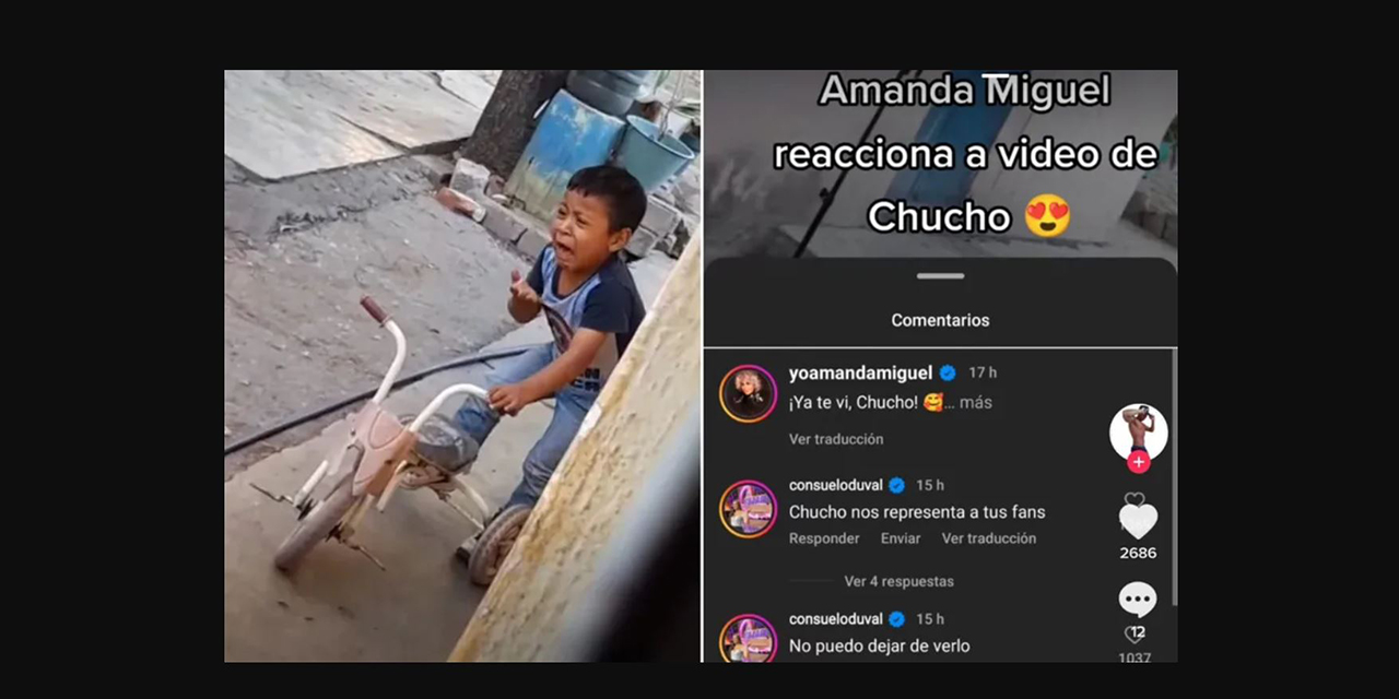 Reponde Amanda Miguel a Chucho, el niño que se hizo viral por cantar “Castillos” | El Imparcial de Oaxaca