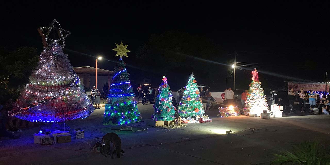 Premian árboles de navidad hechos con material reciclado | El Imparcial de Oaxaca
