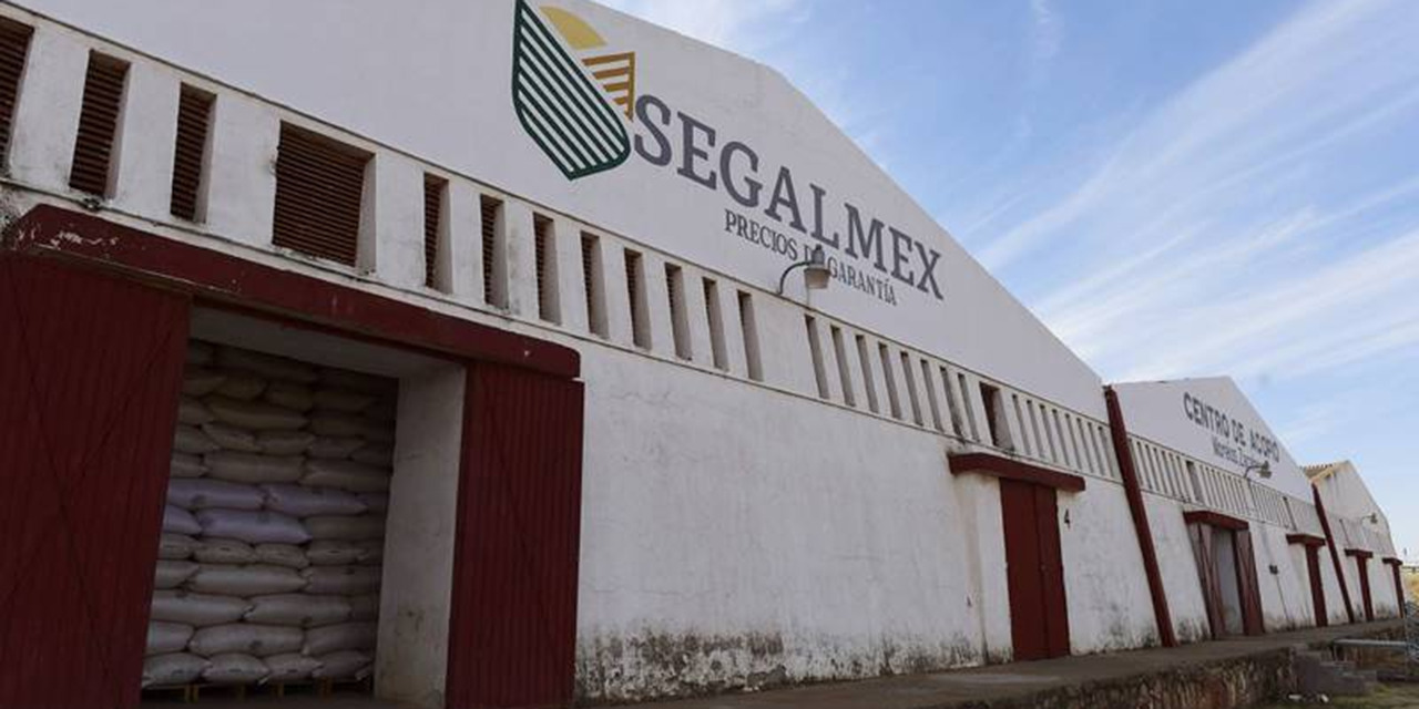 Fraude en Segalmex: 30 empresas y 29 funcionarios involucrados | El Imparcial de Oaxaca