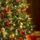 ¿Existe el árbol de Navidad perfecto?