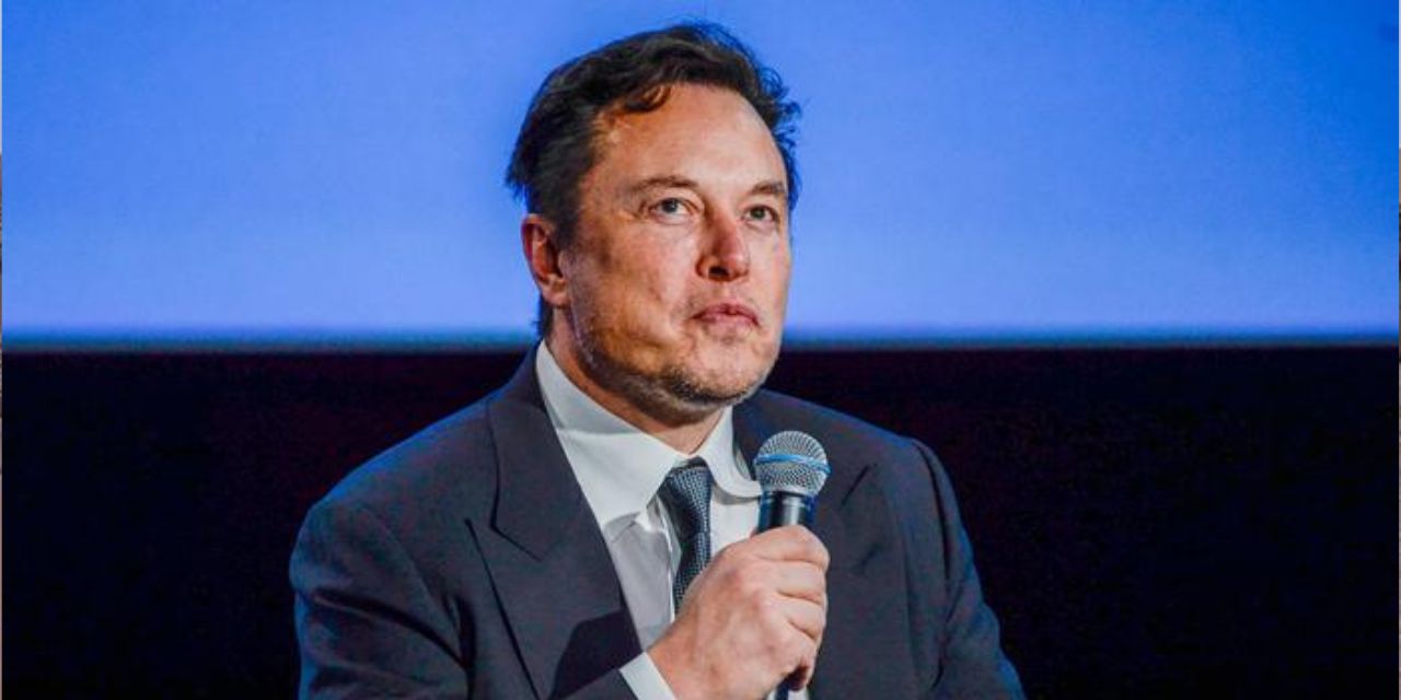 Elon Musk espera que el chip cerebral de Neuralink comience pruebas en humanos dentro de 6 meses | El Imparcial de Oaxaca