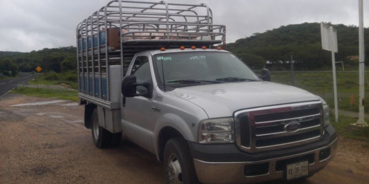 Roban camioneta con ganado porcino | El Imparcial de Oaxaca