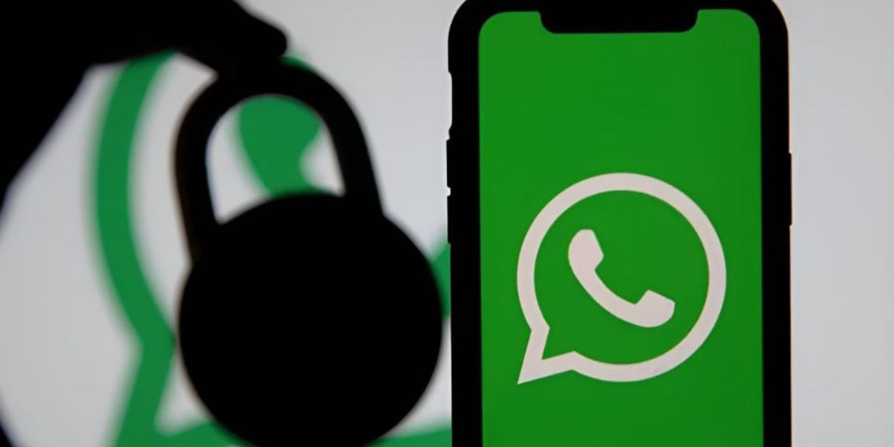 WhatsApp: Recomendaciones para evitar filtración de datos | El Imparcial de Oaxaca