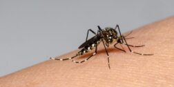 Oaxaca, primer lugar en decesos por dengue